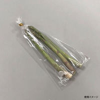 ベルグリーンワイズ 鮮度保持袋 オーラパック9号規格品 2381 1ケース(5000個(100個×50))（直送品）