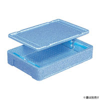 三甲 保存箱 EPボックス#16A 76001100BLEP 1ケース(10個)（直送品）