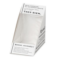 パケドゥソレイユ サンドイッチ容器 三角サンド窓付BOX メルシー 17016 1ケース(100個)（直送品）