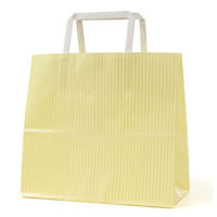 パックタケヤマ 紙手提袋 平紐手提袋 H平24 クリスタル イエロー 69109 1ケース(200個(50個×4))（直送品）