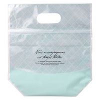 ヘッズ ラメールジップ付バッグーＳＳ冷凍可（３０枚） LMR-NZSS 1セット(1袋(30枚入)×20)