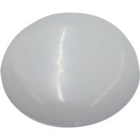 ダイドーハント DAIDОHANT ビスキャップ 白 (直径13mm) 「50個入」(座金別売) 10173427 1パック(50個)（直送品）