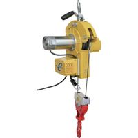 トーヨーコーケン TKK 二本掛けベビーホイスト 無線2か所操作用 460kg 10M DB-E820WR 1台 686-3285（直送品）