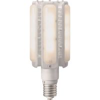 岩崎電気 岩崎 LEDライトバルブ 110Wランプ(電球色) LDTS110L-G-E39A 1本 686-3409（直送品）