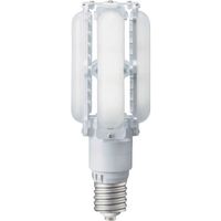 岩崎電気 岩崎 LEDライトバルブ48Wランプ(昼白色) LDTS48N-G-E39A 1本 686-8196（直送品）