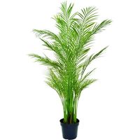 グローベン 人工樹木 リフェイクグリーン アレカヤシ大 専用鉢付 A70TR125 1本 679-0226（直送品）