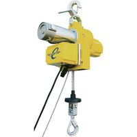 トーヨーコーケン TKK エンドレスタイプ小型ホイスト 300kg 30M 無線型 BW-E300R(30M) 1台 686-4975（直送品）