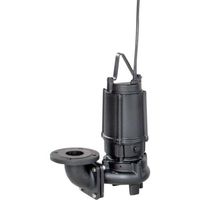 荏原製作所 エバラ DVS型セミボルテックス水中ポンプ 50Hz 口径80 80DVS53.7A 1台 680-0259（直送品）