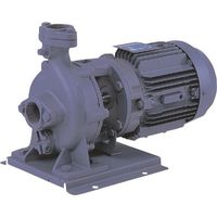 荏原製作所 エバラ FVD型ブルテックスポンプ 50Hz 口径40mm 出力0.4kW 40FVD5.4C 1台 680-4994（直送品）