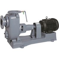 荏原製作所 エバラ SQ型自吸ポンプ 50Hz 口径50mm 50SQE5.4C 1台 680-5004（直送品）