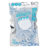 グローバル・ジャパン アイシー氷嚢 ベージュ S 1個 4571621441955 1