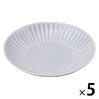 Amazon.co.jp: [Dolce duo] お皿セット 美濃焼 お皿 約16cm