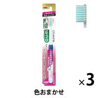 K vPA f^uV #588 ӂ 1Zbgi3{jTX^[ GUM uV 4RpNg ɍ3{ѐ