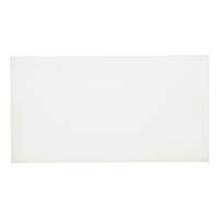 新輝合成 トンボ プラスチック業務用まな板 500×270×20 AMN07003 1丁（わけあり品）