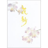 日本ノート 便箋 セン301 花妙 セミB5 40枚 SEN301 1冊