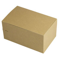 ヤマニパッケージ ジッパーBOX FSR L【weeco】 10-406FSR 1包(25枚)（わけあり品）