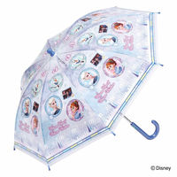 スケーター 傘 子ども用ビニール傘 45cm キャラクター アナと雪の女王2 427864 1個（直送品）