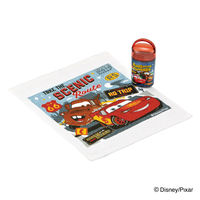 スケーター おしぼり 抗菌ケース付おしぼり カーズ24 445922 1個（直送品）