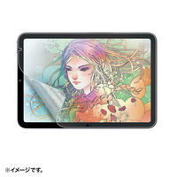 TTvC iPad mini A17 ProΉیtBîEȎE˖h~j LCD-IPM21Piij