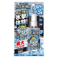 ひんやりシャツシャワー ストロング ミントの香り 本体 500mL