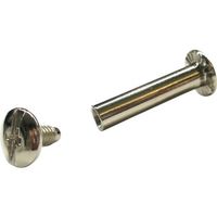 ダイドーハント DAIDОHANT HP ニッケル組ネジ 4.5×30 2本入 10184501 1パック(2本) 117-9378（直送品）