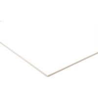 アクリサンデー 発泡スチレンボード HS-K100 B2-2MM 1枚 195-5417（直送品）