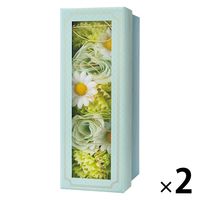 デイズインブルーム バスフラワーギフトハーフ（ガーデニア）1セット（1個×2） グローバルプロダクトプランニング