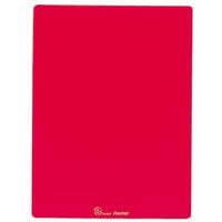 レイメイ藤井 再生ペット 下敷 レッド U140R 1個