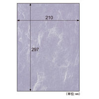 ヒサゴ クラッポ和紙 雲龍 藤 QW16S 1袋(10枚入)
