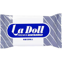 パジコ 石塑粘土 ラドールプレミックス 120g 日本製 303296 PDC303296 1個