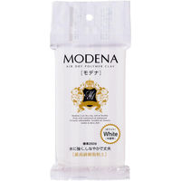 パジコ 樹脂粘土 モデナホワイト 250g 白 日本製 303109 PDC3109 1個