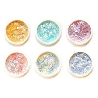 東京交易 オパールラメパウダー 6色セット 1個約0.15g T10-J 1パック