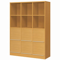 大洋 チョイスグリッドラックCGR 幅1168×奥行416×高さ1666mm CGR 1712MD＋L扉6 MB 1台（直送品）