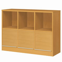 大洋 チョイスグリッドラックCGR 幅1168×奥行416×高さ886mm CGR 9012MD＋L扉3 MB 1台（直送品）