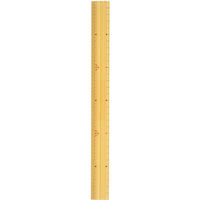 銀鳥産業 プラモノ はかるん30cm 両目盛 300-101 1セット(1本×4)（直送品）