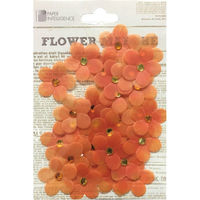 花岡 ペーパーインテリジェンス フラワーマルシェヴェラムビジューオレンジ 4108610 1パック×5（直送品）