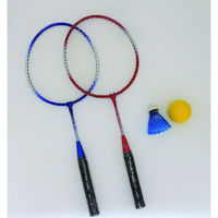 アカバネ ミニバドミントンセット F-2554 1セット(1組×3)（直送品）