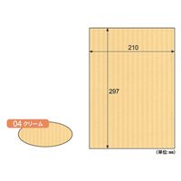 ヒサゴ リップルボード薄口A4 クリーム RBU04A4 1セット(1個×4)（直送品）