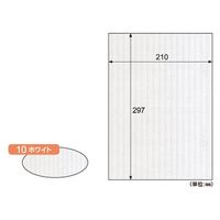 ヒサゴ リップルボード薄口A4 ホワイト RBU10A4 1セット(1個×4)（直送品）