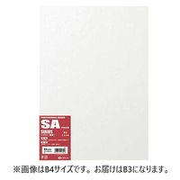 オリオン 水彩紙ボード B3 シリウス(両面) SA-B3 1セット(1パック×4)（直送品）