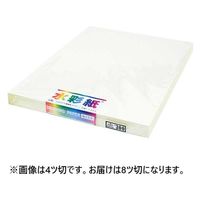 GXPg ʉ掆8c100 No300GXPg rWcXCTCNo.300 8c 1iij