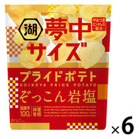 ポテトチップス おつまみ 夢中サイズ 湖池屋 プライドポテト