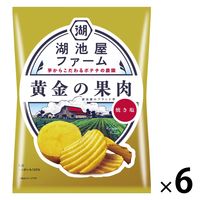 ポテトチップス おつまみ 湖池屋ファーム 黄金の果肉 焼き塩 55g 6袋 湖池屋
