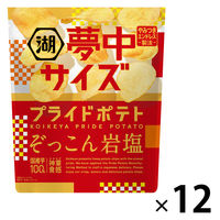 ポテトチップス おつまみ 夢中サイズ 湖池屋 プライドポテト ぞっこん岩塩 102g 12袋 湖池屋