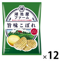 ポテトチップス おつまみ 湖池屋ファーム 旨味こぼれ すじ青のり 55g 12袋 湖池屋