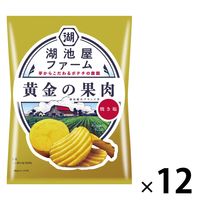 ポテトチップス おつまみ 湖池屋ファーム 黄金の果肉 焼き塩 55g 12袋 湖池屋