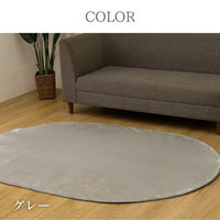 CPqR EFf J[ybg ȉ~ 1300×1900mm O[ 1280501130803 1iij
