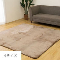 CPqR EFf J[ybg ȉ~ 1300×1900mm O[ 1280501120803 1iij