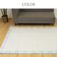 CPqR DXk J[ybg 1300×1900mm O[ 1293521134301 1iij