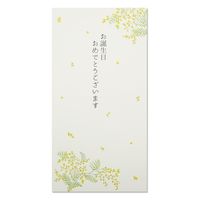 teBA ̂MⳃZbg ~U NSF-079 1Zbgiij